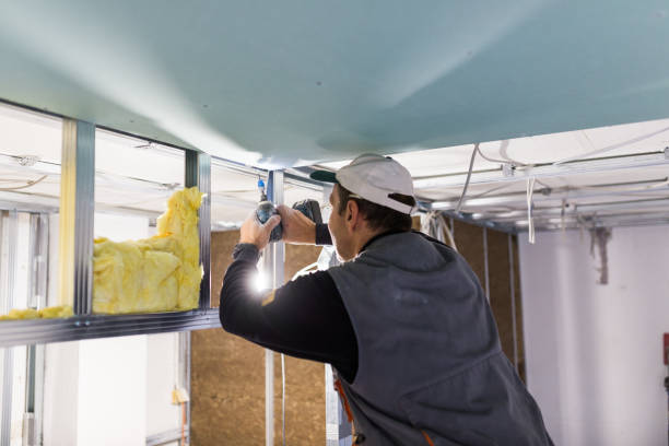 Best Blown-in Insulation in Merrydale, LA