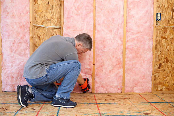 Best Spray Foam Insulation in Merrydale, LA