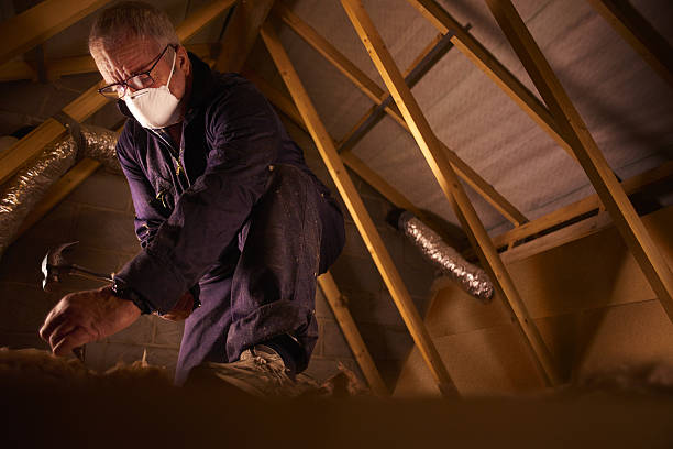 Best Residential Insulation in Merrydale, LA