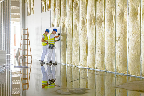 Best Insulation Maintenance and Repair in Merrydale, LA